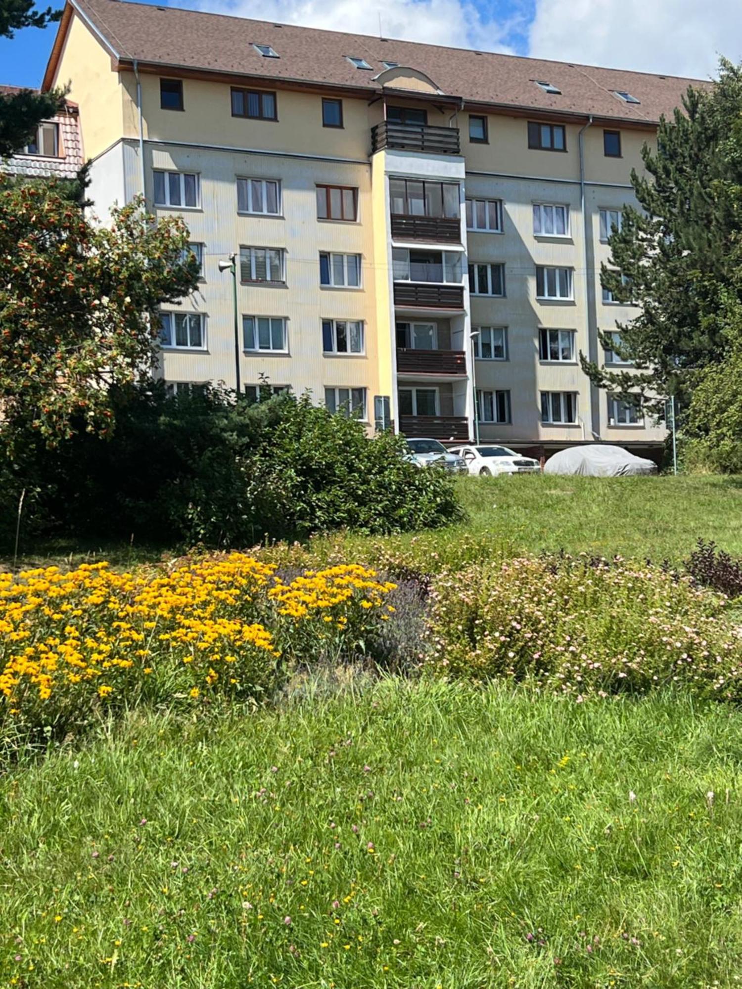 Apartment Tatranska Strba